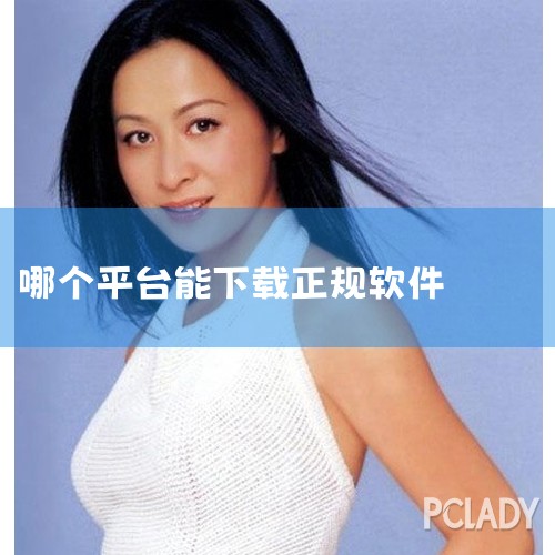 电脑软件下载平台哪个好?第一，官方网站。首选软件开发商的官方网站，这里提供的软件版本最新、最纯净，无广告无捆绑。第二，知名软件商店。如腾讯电脑管家、360软件管家等，这些商店对上架的软件有严格的审核机,男娘日记