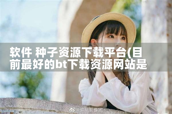软件 种子资源下载平台|糖心Vlog入口