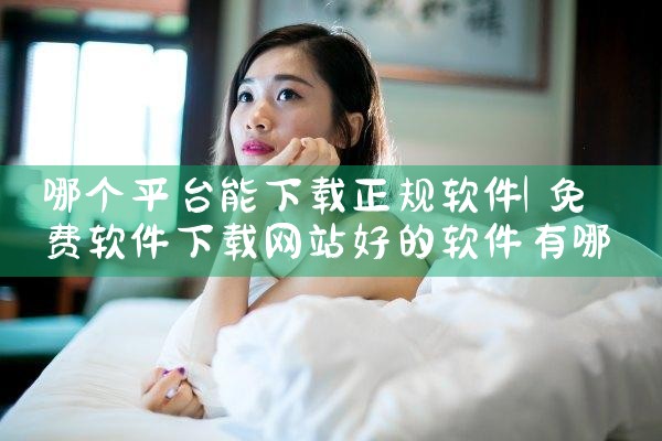 哪个平台能下载正规软件|男娘日记