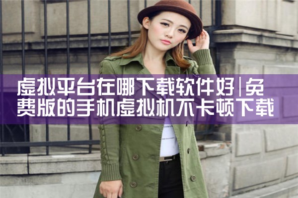 虚拟平台在哪下载软件好|男娘日记
