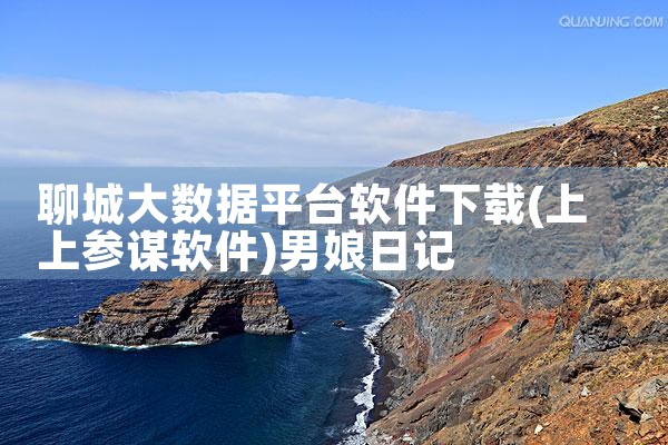 聊城大数据平台软件下载|男娘日记