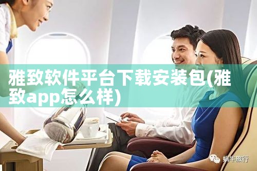 雅致软件平台下载安装包