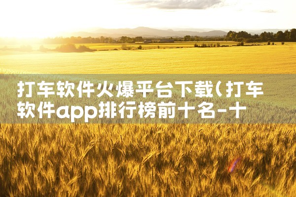 打车软件火爆平台下载|男娘日记