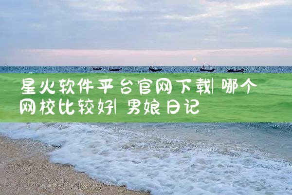 星火软件平台官网下载|男娘日记