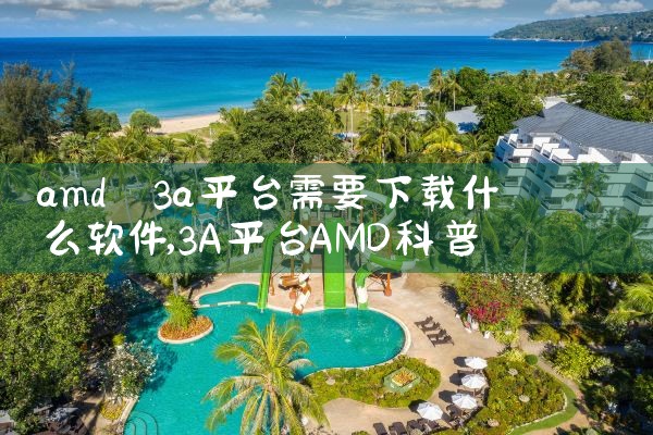 amd 3a平台需要下载什么软件