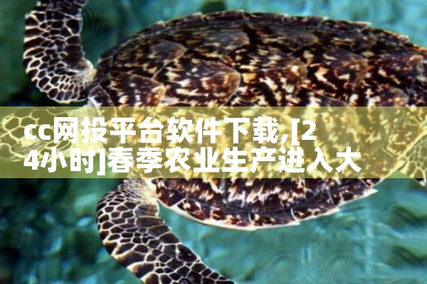 cc网投平台软件下载|男娘日记