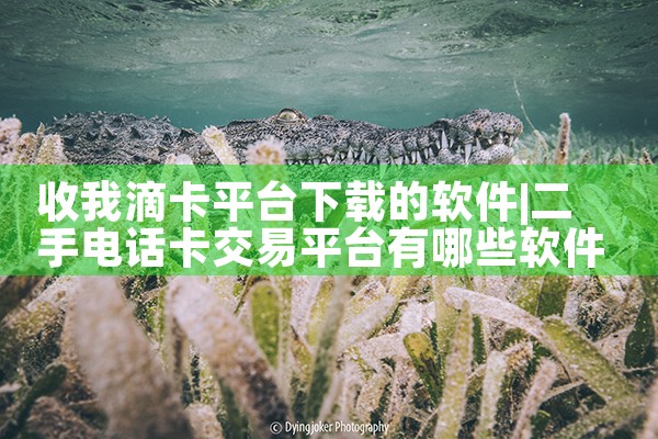 收我滴卡平台下载的软件