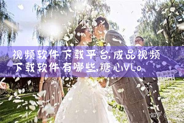 视频软件下载平台|糖心Vlog入口
