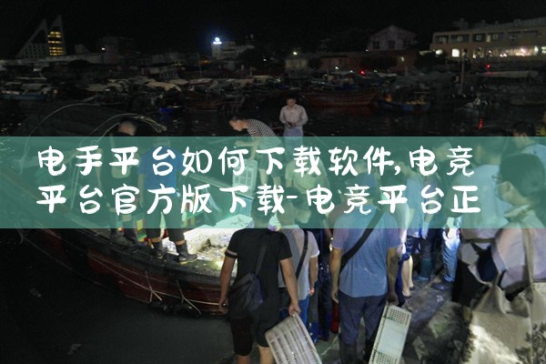 电手平台如何下载软件|男娘日记