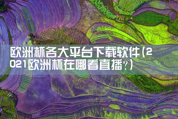 欧洲杯各大平台下载软件