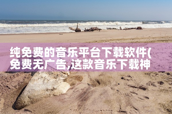 纯免费的音乐平台下载软件