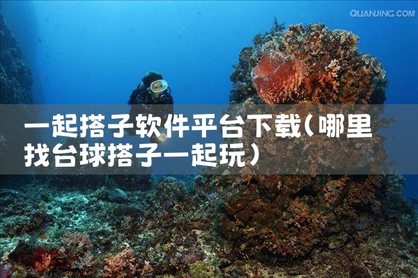 一起搭子软件平台下载